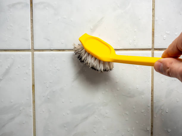 Maxton, NC Mold Removal Company