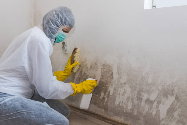 Crawl Space Mold Removal in Maxton, NC
