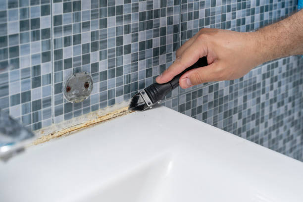 Best Mold Removal Company Near Me  in Maxton, NC
