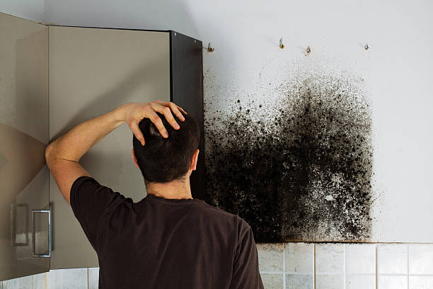 Best Mold Inspection  in Maxton, NC
