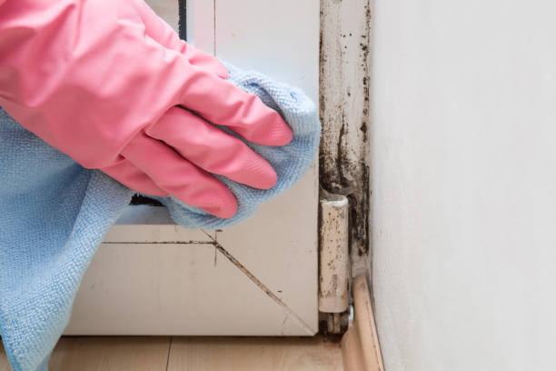 Best Crawl Space Mold Removal  in Maxton, NC